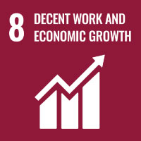 SDG 8